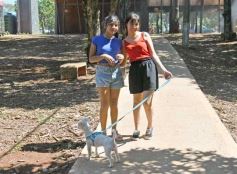Foto de la galería: Parque de la Ciudad: para el disfrute al aire libre y salida familiar en Posadas