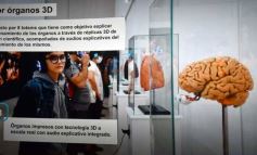 Foto de la galería: Junto al Parque del Conocimiento, la ciudad se prepara para una gran experiencia tecnológica educativa