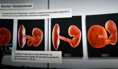 Foto de la galería: Junto al Parque del Conocimiento, la ciudad se prepara para una gran experiencia tecnológica educativa