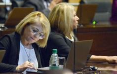 Foto de la galería: Apertura de Sesiones: Herrera Ahuad brindó su último informe de gestión de cara al 7 de mayo