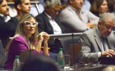 Foto de la galería: Apertura de Sesiones: Herrera Ahuad brindó su último informe de gestión de cara al 7 de mayo