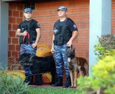 Foto de la galería: Federal A: Crucero tuvo para ganar pero se le escapó sobre el final