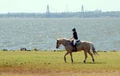 Foto de la galería: Copa Ciudad de Posadas: la equitación sumó encuentro y disfrute familiar en Costa Sur