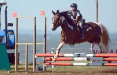 Foto de la galería: Copa Ciudad de Posadas: la equitación sumó encuentro y disfrute familiar en Costa Sur