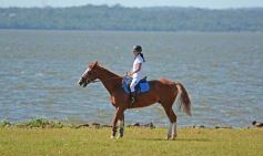 Foto de la galería: Copa Ciudad de Posadas: la equitación sumó encuentro y disfrute familiar en Costa Sur