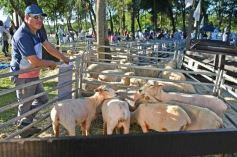 Foto de la galería: Equitación, remate y gran encuentro campero en La Armonía