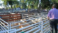 Foto de la galería: Equitación, remate y gran encuentro campero en La Armonía