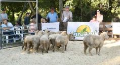 Foto de la galería: Equitación, remate y gran encuentro campero en La Armonía
