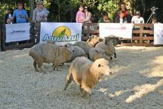 Foto de la galería: Equitación, remate y gran encuentro campero en La Armonía