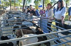 Foto de la galería: Equitación, remate y gran encuentro campero en La Armonía