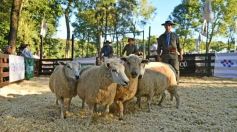 Foto de la galería: Equitación, remate y gran encuentro campero en La Armonía