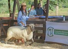 Foto de la galería: Equitación, remate y gran encuentro campero en La Armonía