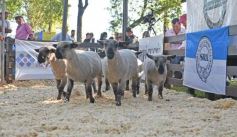 Foto de la galería: Equitación, remate y gran encuentro campero en La Armonía