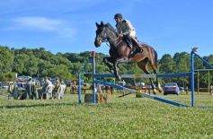 Foto de la galería: Equitación, remate y gran encuentro campero en La Armonía