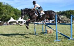 Foto de la galería: Equitación, remate y gran encuentro campero en La Armonía
