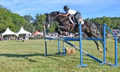 Foto de la galería: Equitación, remate y gran encuentro campero en La Armonía