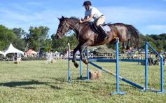 Foto de la galería: Equitación, remate y gran encuentro campero en La Armonía