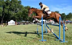 Foto de la galería: Equitación, remate y gran encuentro campero en La Armonía