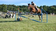 Foto de la galería: Equitación, remate y gran encuentro campero en La Armonía