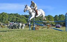 Foto de la galería: Equitación, remate y gran encuentro campero en La Armonía