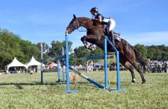 Foto de la galería: Equitación, remate y gran encuentro campero en La Armonía