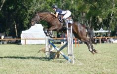 Foto de la galería: Equitación, remate y gran encuentro campero en La Armonía