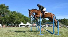 Foto de la galería: Equitación, remate y gran encuentro campero en La Armonía