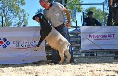 Foto de la galería: Equitación, remate y gran encuentro campero en La Armonía