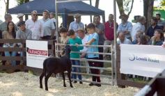 Foto de la galería: Equitación, remate y gran encuentro campero en La Armonía