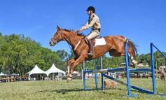 Foto de la galería: Equitación, remate y gran encuentro campero en La Armonía