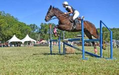 Foto de la galería: Equitación, remate y gran encuentro campero en La Armonía