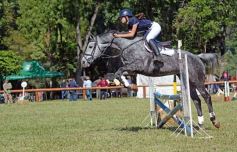 Foto de la galería: Equitación, remate y gran encuentro campero en La Armonía