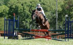 Foto de la galería: Equitación, remate y gran encuentro campero en La Armonía