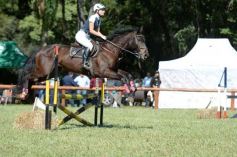 Foto de la galería: Equitación, remate y gran encuentro campero en La Armonía