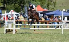 Foto de la galería: Equitación, remate y gran encuentro campero en La Armonía