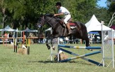 Foto de la galería: Equitación, remate y gran encuentro campero en La Armonía