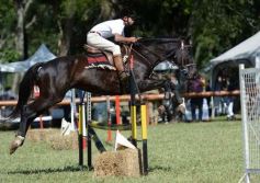 Foto de la galería: Equitación, remate y gran encuentro campero en La Armonía