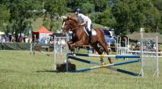 Foto de la galería: Equitación, remate y gran encuentro campero en La Armonía