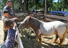 Foto de la galería: Equitación, remate y gran encuentro campero en La Armonía