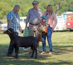 Foto de la galería: Equitación, remate y gran encuentro campero en La Armonía