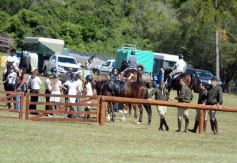 Foto de la galería: Equitación, remate y gran encuentro campero en La Armonía