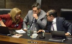 Foto de la galería: Legislatura: la ley de duelo gestacional fue una de las aprobadas en la primera sesión del año