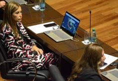 Foto de la galería: Legislatura: la ley de duelo gestacional fue una de las aprobadas en la primera sesión del año