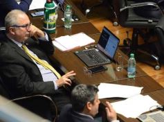 Foto de la galería: Legislatura: la ley de duelo gestacional fue una de las aprobadas en la primera sesión del año