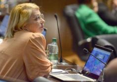 Foto de la galería: Legislatura: la ley de duelo gestacional fue una de las aprobadas en la primera sesión del año