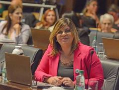 Foto de la galería: Legislatura: la ley de duelo gestacional fue una de las aprobadas en la primera sesión del año