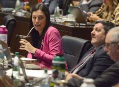 Foto de la galería: Legislatura: la ley de duelo gestacional fue una de las aprobadas en la primera sesión del año