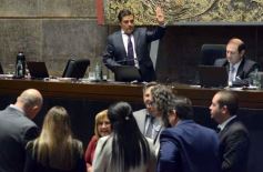 Foto de la galería: Legislatura: la ley de duelo gestacional fue una de las aprobadas en la primera sesión del año