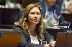 Foto de la galería: Legislatura: la ley de duelo gestacional fue una de las aprobadas en la primera sesión del año