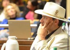 Foto de la galería: Legislatura: por ley cada 8 de agosto se celebrará el día de la Mujer Chamamecera 